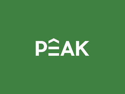 Peak flat logo logo design minimalist logo peak logo top typography logo wordmark logo