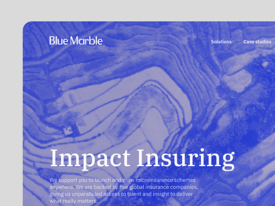 Blue Marble - Branding & Website