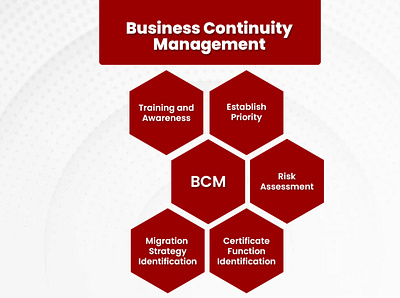 Business Continuity Management & Business Continuity Plans app branding design graphic design illustration logo typography ui ux vector