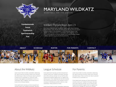 Youth Basketball Team Website basketball website