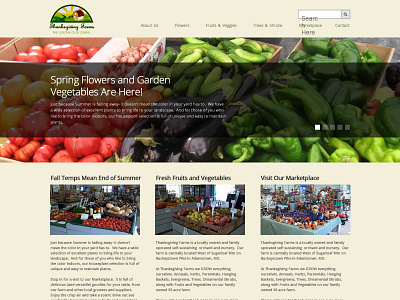 Nursery Website food nursery website
