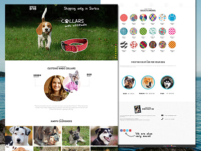 Barking Bob animals collar collars colourful companion dog dogs pets ui ux webdesign website