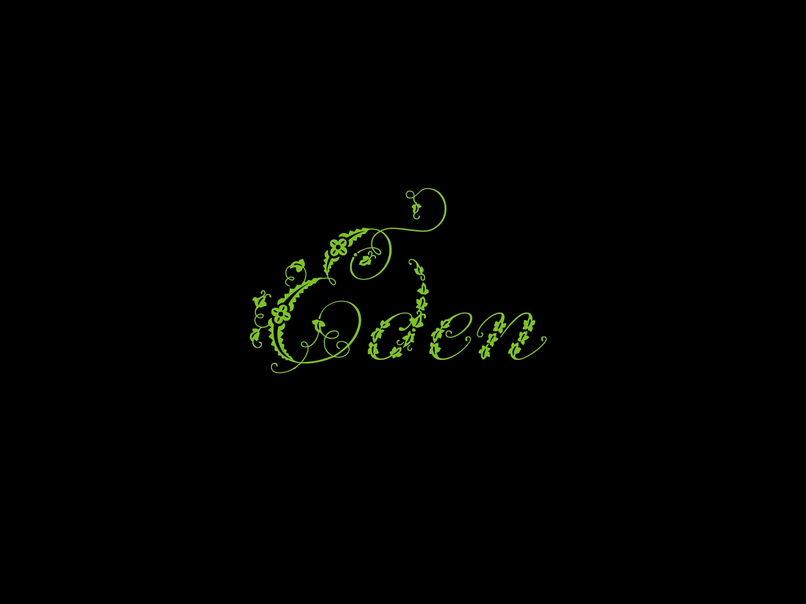 Eden Flower Animation after effect albania animation brand branding gif logo logo animation logoanimation logoreveal motion