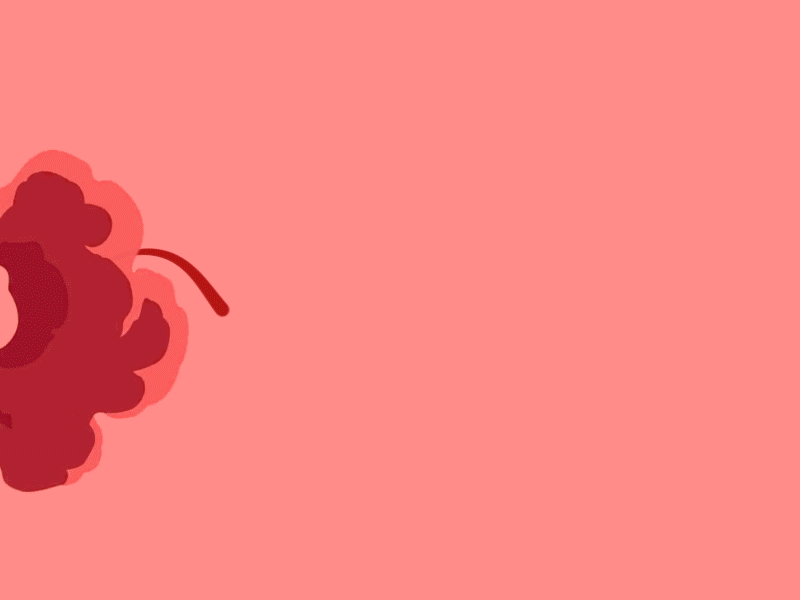 LIFE CREATION by Edgar Vehbiu on Dribbble