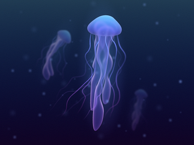 Jellyfish illustration