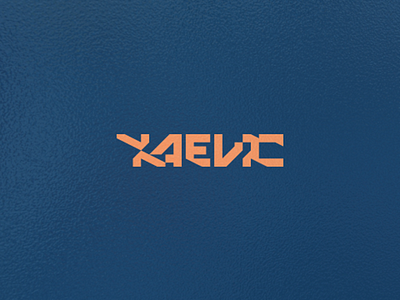 Xaevic rebrand branding logo typography