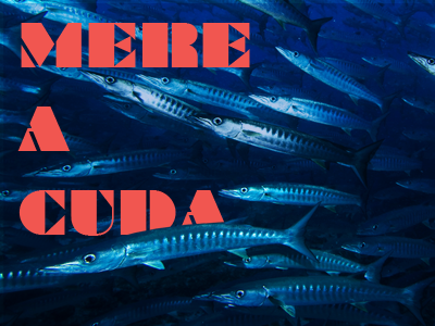 Mereacuda barracuda desktop background personal branding twitter background