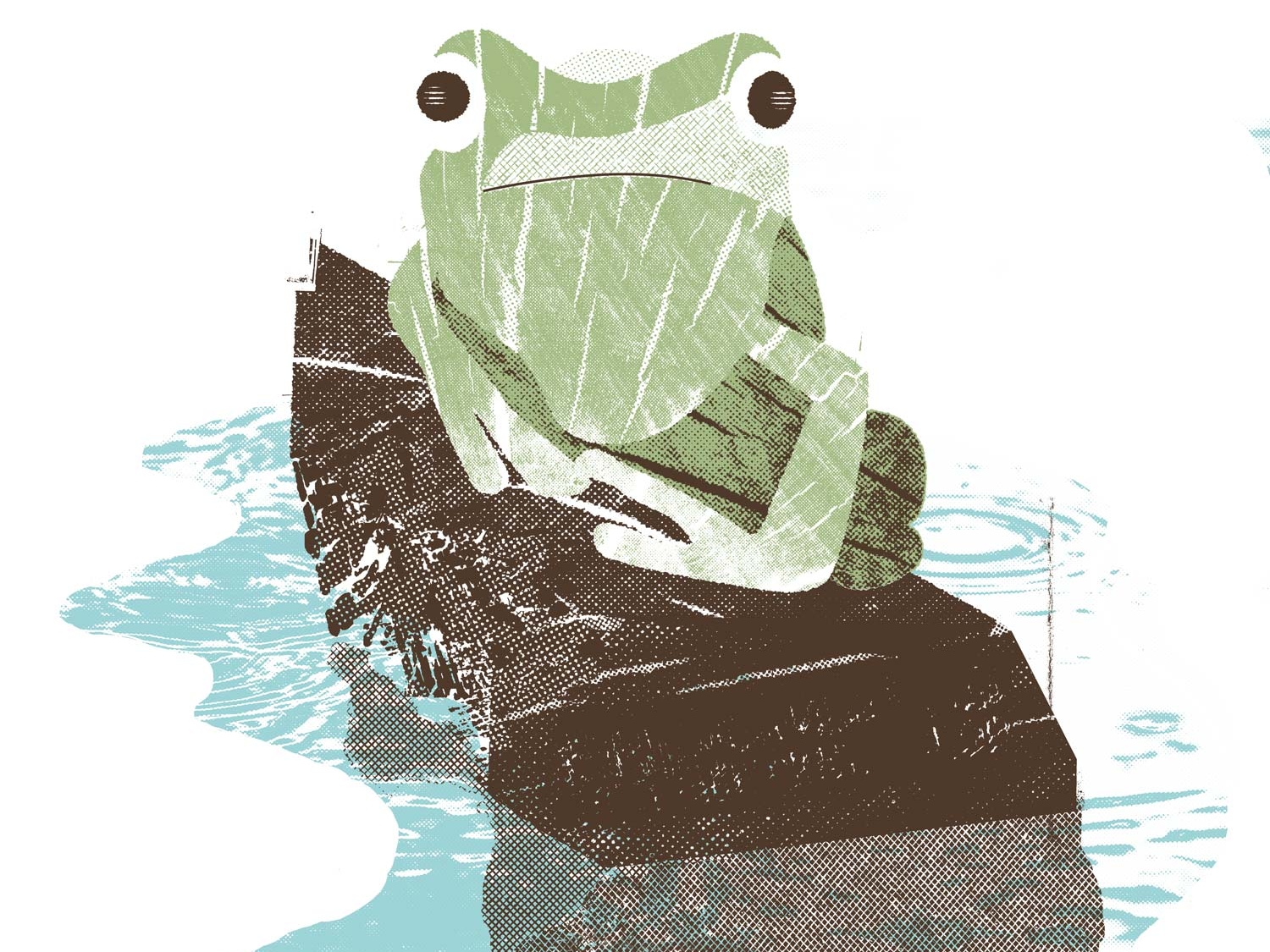 frog screen printing