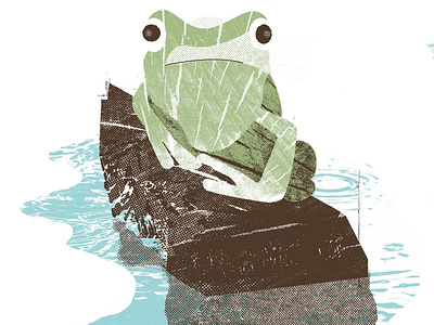 Frog Shirt apparel frog nature outdoors printmaking screen printing shirt shirt design shirt mockup