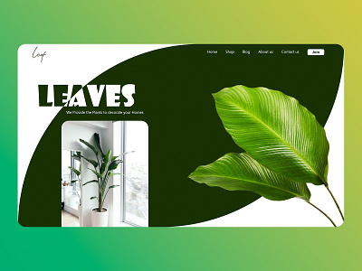 Leaves ( Plants Shop ) Landing Page branding design graphic design ui ux web design web site