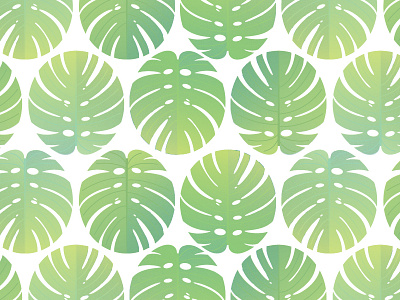 Aloha Pattern hawaii illustration leaves monstera pattern