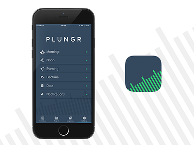 Plungr - Settings & App Icon app apple diabetes diabetic ios iphone mobile plungr type 1 ui ux
