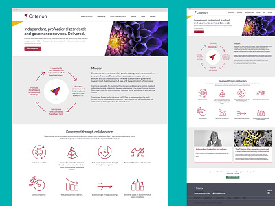 Criterion Website financial prototype website