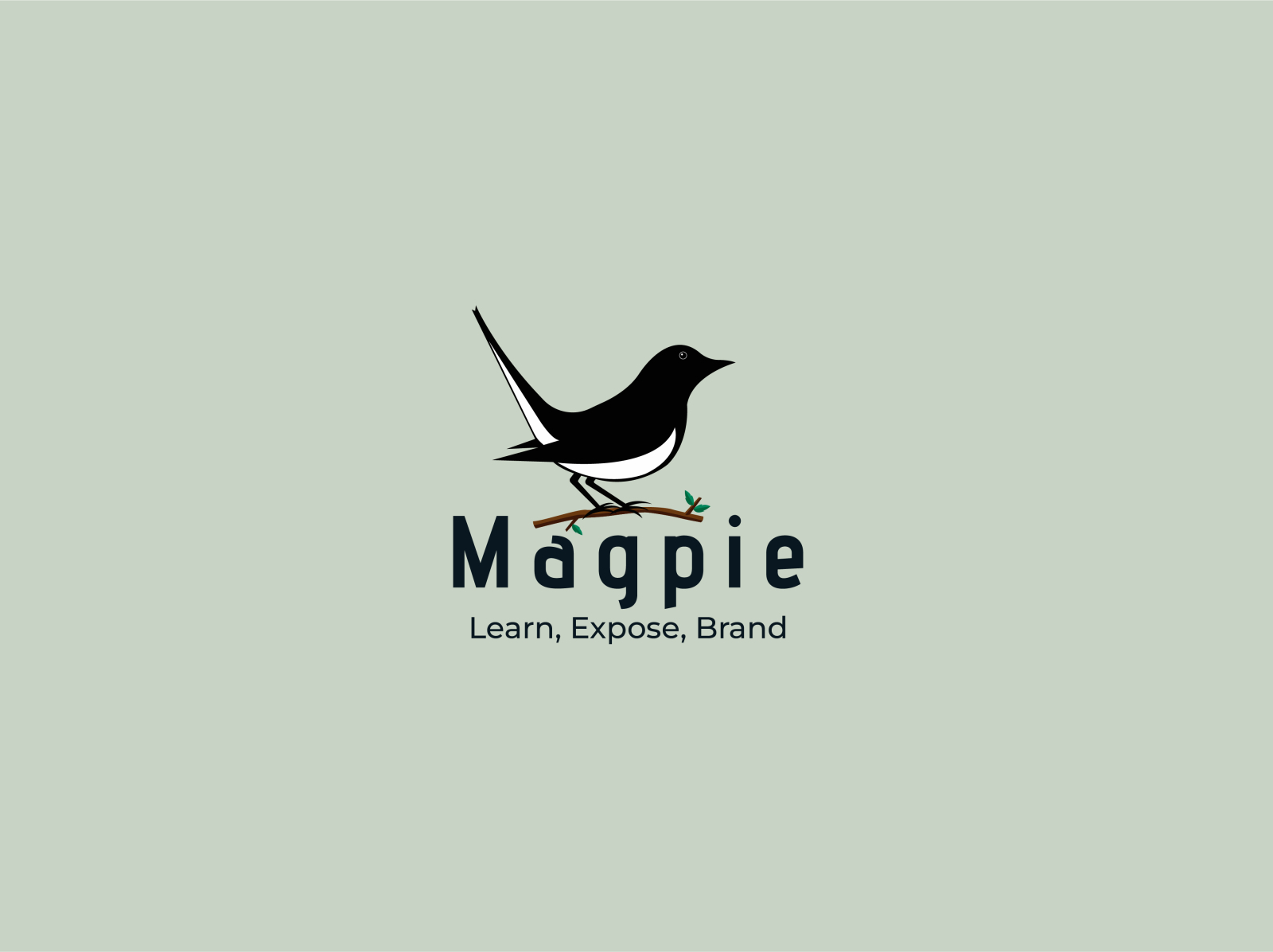 Magpie Logo Branding by Khairul Bashar on Dribbble