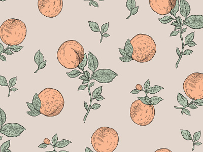 Harvested apricots 3 color apricot fruit illustration nature pattern pattern design