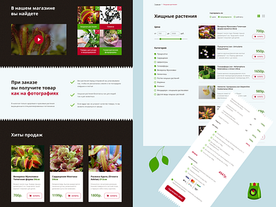 Интернет-магазин хищных растений design figma ui uiux webdesign website
