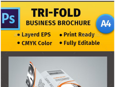 Tri-Fold Brochure #1