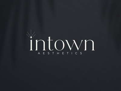 Intown Aesthetics Branding aesthetics atlanta branding flat design graphic design logo medical branding plastic surgery typography