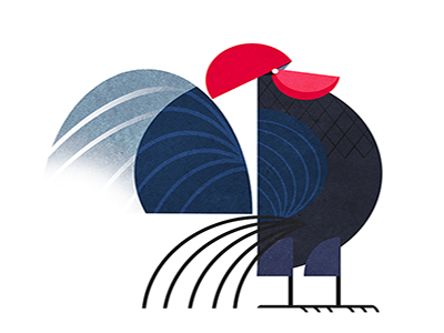 Black Rooster animals bird chicken geometric illustration