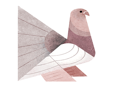 Dove bird dove geometric illustration