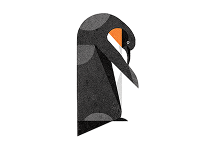 Penguin bird geometric penguin
