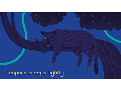 Leopard sleeps lightly leopard night typography