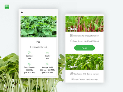 Microgreens App app app apps application app concept app design design farm farm app farming logo logo design microgreens ui