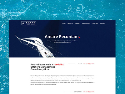 Amare Pecuniam branding business corporate design homepage landing page logo logo design