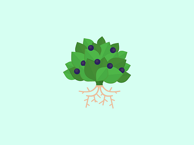 Motava Icon for Growth