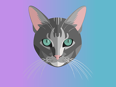 Bright Eyes animal cat gradient illustration kitty pets symmetry vector art