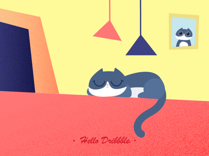 Hello Dribbble ！ ae animation cat hello dribble illustration