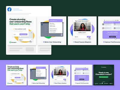 Chameleon - Carousel Ad Design instagram ads