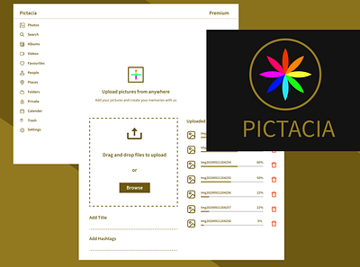 Pictacia - Web based photo gallery design design case study ui uiux design ux research webdesign webpage