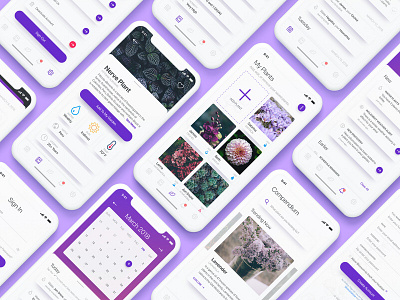 Blossom App UI