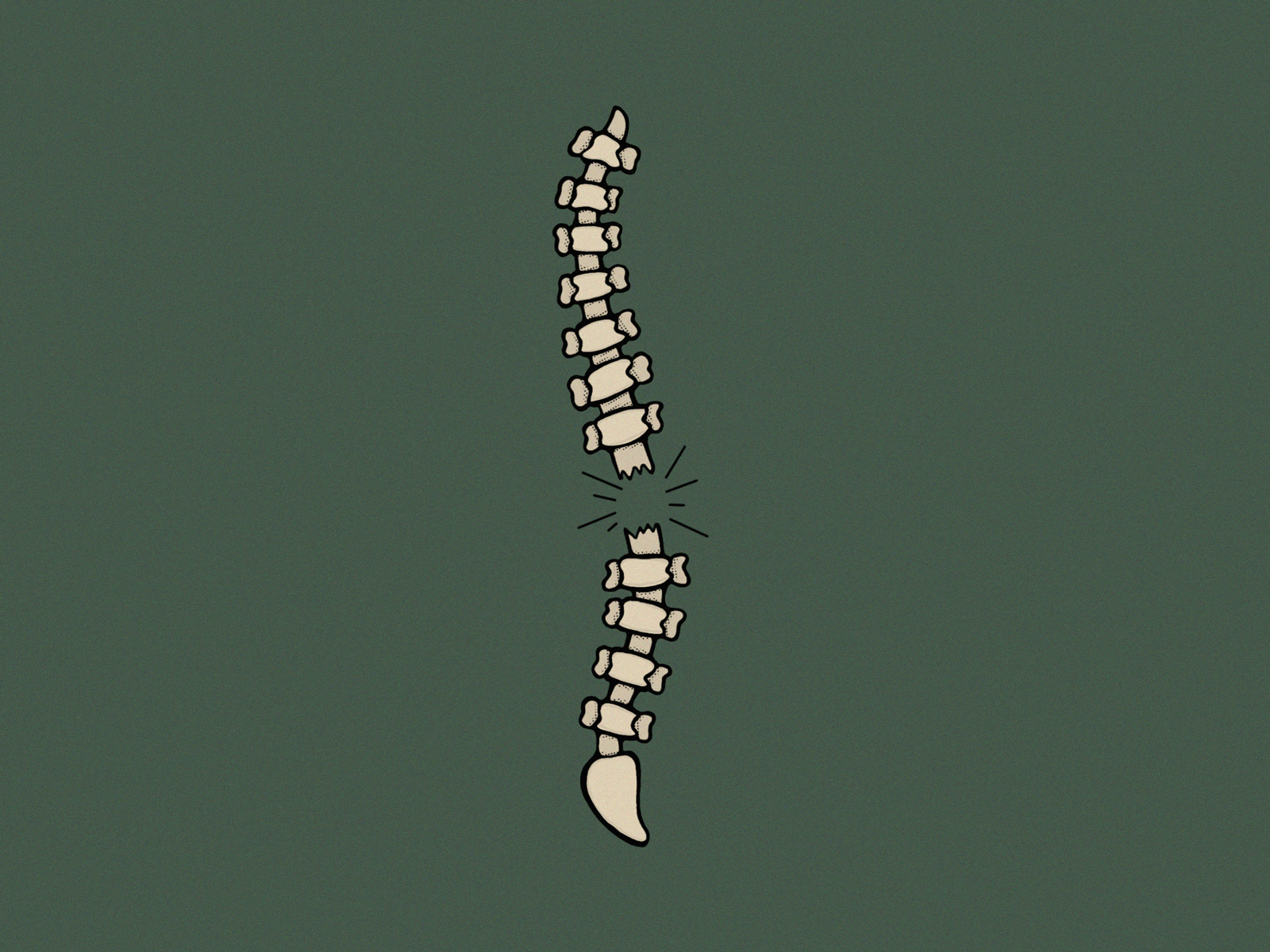 spine animation cracking