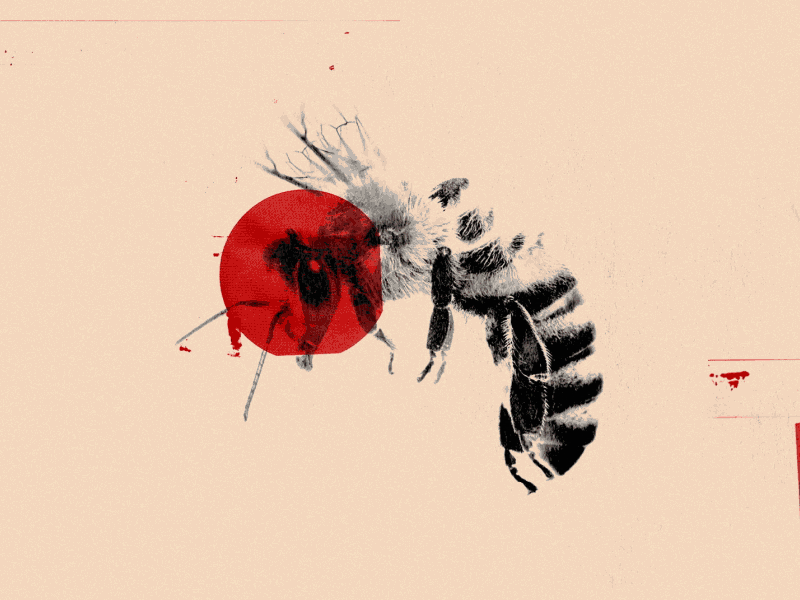 American Horror Story - Paranoia Teaser ahs fx fox cult paranoia textures collage horror bee