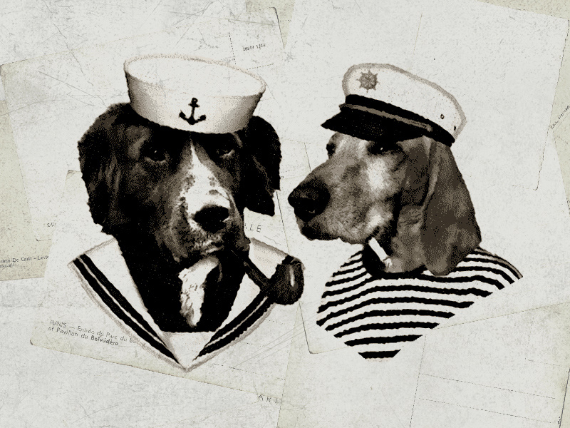 Sailor Dogs by Giovanni Tondini on Dribbble
