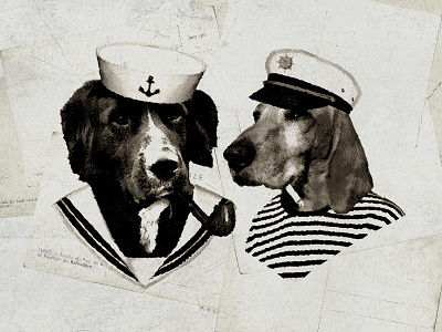 Sailor Dogs dogs illustration photo mockup postcard sailor dogs sailors salty dogs sea life vintage