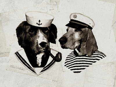 Sailor Dogs