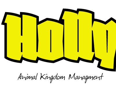 DJ Holly - Branding - New direction black branding businesscards logo yellow