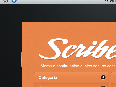 Scribe iPad App design