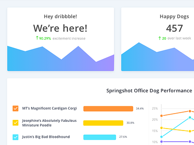 Springshot Office Dog Reporting Dashboard analytics bar chart chart dashboard data data visualization data viz graph report reporting