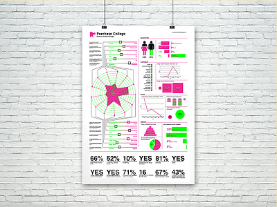 Education of the Designer Poster Infographic data data visualization infographic poster print