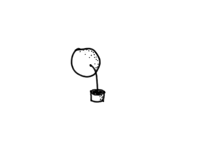 Plant Animation sketch drawing motion ipad quick simple basic frame framebyframe design animation plant