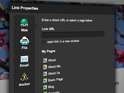 Link Window cloud cms link snappages ui window