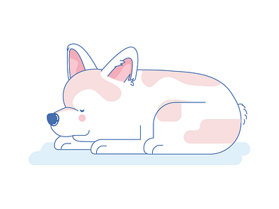 Corgi