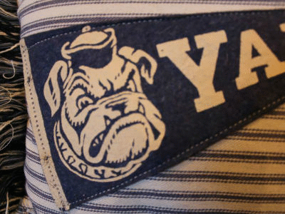 Vintage Yale GIF antique athletics basketball classic college football handsome dan mascot ncaa sports vintage