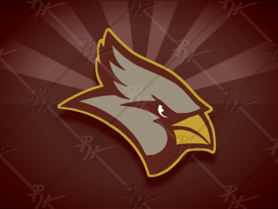 Arizona Cardinals logo style –