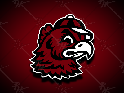 Updated Vintage Gamecock Mascot antique athletics basketball classic college football gamecocks mascot ncaa south carolina sports vintage