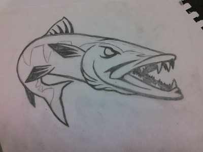 Barracuda Sketch 2 barracuda fish sketch sports